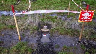 How to speed up demining. Case studies of FMC Ukraine and The HALO Trust, which help the state to solve this problem