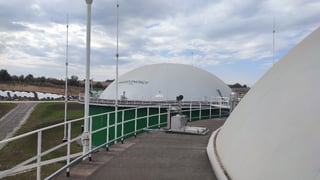 предоставлено пресс-службой Vitagro