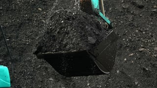 Війна в Україні змусила Європу повернутися до вугілля – найбруднішого палива. Чи зможе воно замінити російський газ. Розбір The Economist