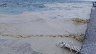 Акваторію найбільшого порту України тимчасово перекрили через витік соняшникової олії