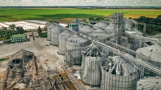 предоставлено пресс-службой Kernel