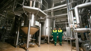 пресслужба Carlsberg Ukraine