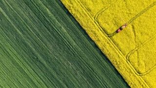 Земля в бронежилеті. Чому інвестувати в землю вигідніше, ніж у нерухомість?