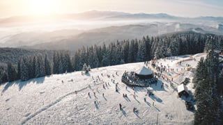Иллюстрация Shutterstock