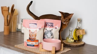 Нові стандарти відповідальності. Виробник кормів для котів і собак Home Food впроваджує інновації у сфері здоров’я та продовження тривалості життя тварин – як він працює