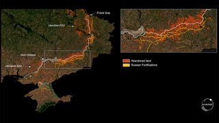 Дыра в мировой статистике на 8 млн т. NASA Harvest оценила урожай на оккупированных украинских территориях