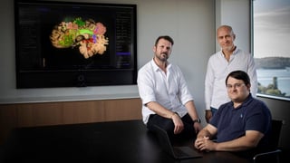 Omniscient Neurotechnology создает карты мозга, которые помогут во время операций и лечения. Стартап уже оценивают почти в $300 млн