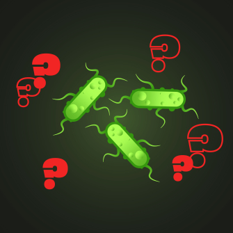 Китайський привіт ресторани Львів Київ /Иллюстрация Алина Кохан