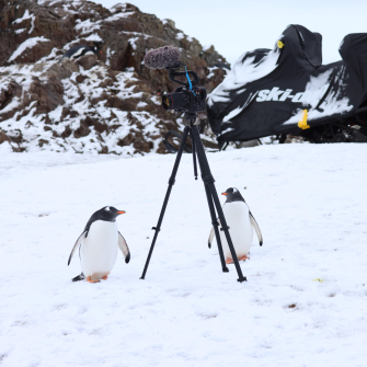 фільм «Антарктида» Антона Птушкіна /надано пресслужбою
