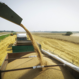 «Кернел» збільшив виторг на 4% у першому кварталі нового фінансового року, прибуток скоротився на 3% /Getty Images