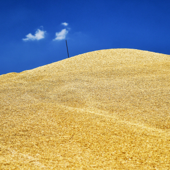 Найбільший агрохолдинг України втратив майже 15% землі через російське вторгнення. Як працює Kernel в умовах війни /Getty Images