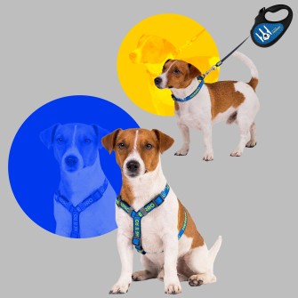 Пес Патрон /колаж Олександра Карасьова