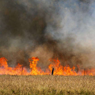 пожежі херсон /Getty Images