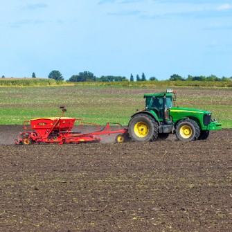 Соя в Україні /Shutterstock