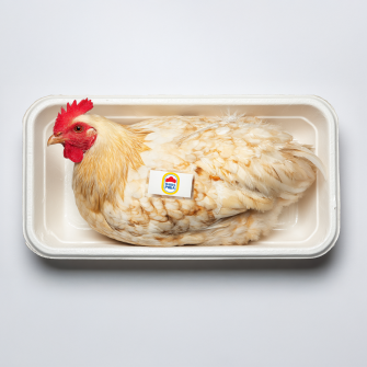 курка експорт /коллаж Анастасия Решетник