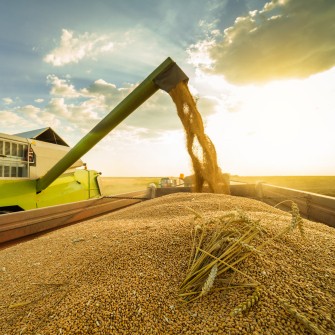 Cargill сократит штат на 8000 работников в этом году /Shutterstock