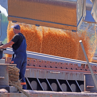 Велика реконструкція «битви» за «зернові шляхи» від Forbes. Хто заробив, хто – у збитках і як тепер експортувати під російськими ракетами /Григорій Веприк для Forbes Ukraine