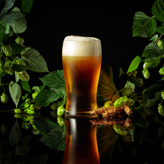 споживання пива в Україні /Shutterstock