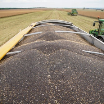 мито на експорт сої та ріпаку /из открытых источников