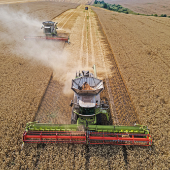 ІМК Алекс Ліссітса /Getty Images