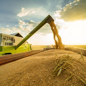 Ukrlandfarming /Shutterstock