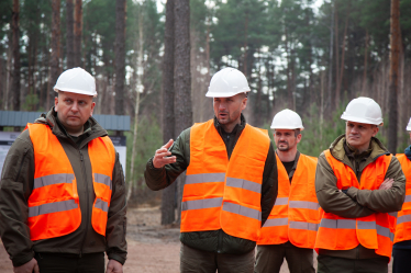 ДП «Ліси України»