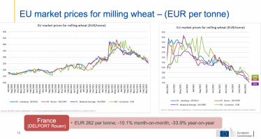 Первая зерновая. Польские фермеры из-за проблемы украинского зерна «снесли» министра сельского хозяйства. Украинское агро действительно так вредит соседям? Спойлер – нет! /Фото 1