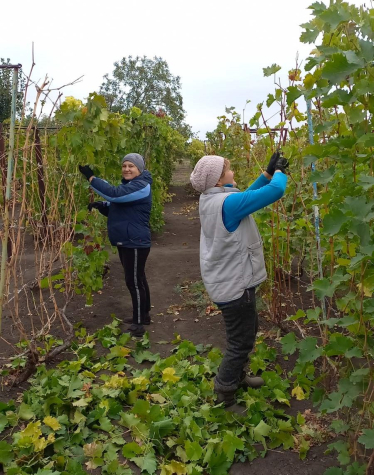 Розправити крила. У межах проєкту технічної допомоги Крила понад 3500 українських жінок отримали підтримку. Це допомогло їм стати більш економічно незалежними /Фото 3