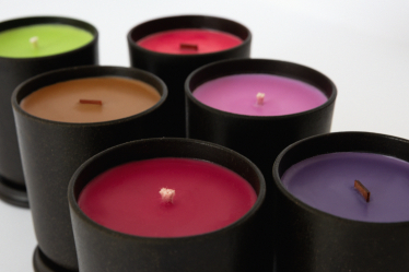 Екосистема успішних. Як підтримка мікропідприємництва у регіонах сприяє розвитку економіки /Фото 1