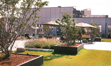 IT-компанія Intellias спробувала зміксувати простір, де народжується не тільки код, але й творчість. Що у неї вийшло /Фото 5