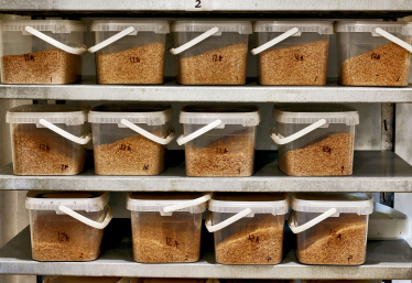 Наверху пищевой цепочки. Альбина Антоненкова выращивает хищных жуков.&amp;nbsp;Как для завоевания рынка она построила хищный отдел продаж /Фото 6