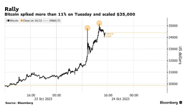 Біткоїн досяг $35 000 вперше з минулого року через очікування схвалення спотового ETF /Фото 1