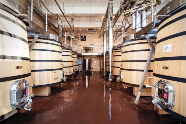 «Наша мета – потрапити до топ-50 виноробень світу». Гіоргі Іукурідзе, засновник SHABO, про виноробний бізнес в Україні /Фото 8