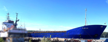 Украина конфисковала сухогруз под флагом Камеруна за незаконный заход в Крым /Фото 1