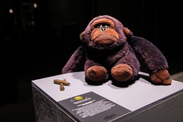 Музей «Голоси мирних»