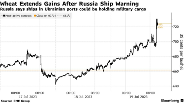 Пшеница подорожала после угроз РФ судам, следующим в украинские порты /Фото 1