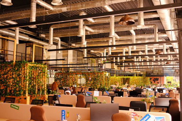 Основатели IT-компании Jooble считали, что в офисе работать эффективнее. Карантин доказал обратное. Как теперь они внедряют режим remote first /Фото 17