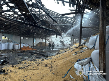 Росія дронами вдарила по зерносховищу на Чернігівщині (фото) /Фото 3