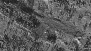 Росіяни крадуть ліс з окупованих територій. WSJ опублікувала супутникові знімки з Херсонщини /Фото 2