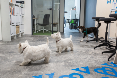 Бульбашка чи бізнес. Співвласник «Кормотеху» Ростислав Вовк інвестував під $2 млн у литовський стартап Rocketo і запускає венчурний фонд. Навіщо виробнику кормів для тварин інвестувати у технології. Інтерв’ю /Фото 1