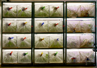 Наверху пищевой цепочки. Альбина Антоненкова выращивает хищных жуков. Как для завоевания рынка она построила хищный отдел продаж /Фото 13