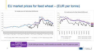 Первая зерновая. Польские фермеры из-за проблемы украинского зерна «снесли» министра сельского хозяйства. Украинское агро действительно так вредит соседям? Спойлер – нет! /Фото 2