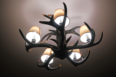 Загородный дом (почти) без дверей, с каминами и мебелью необычных форм. Как выглядит дом семьи львовских предпринимателей Лидии и Всеволода Биласов /Фото 12