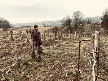 «Будинок для нас – як намет». Як львівський ресторатор Юрій Назарук переїхав до села та став щасливішим /Фото 6
