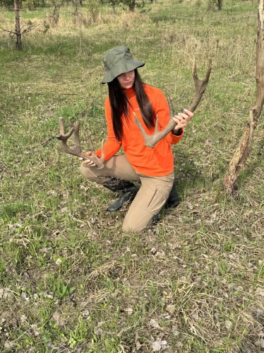 Оленячий парк «На рогах»