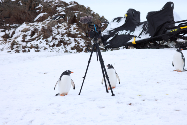 Антарктида фільм Птушкіна /надано пресслужбою