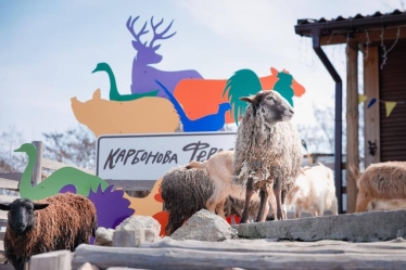 Ферма-сироварня «Зелений гай»