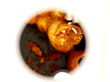 Наверху пищевой цепочки. Альбина Антоненкова выращивает хищных жуков.&amp;nbsp;Как для завоевания рынка она построила хищный отдел продаж /Фото 10