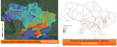 Через російські обстріли лише за липень згоріло 70 000 га зернових. Що це означає для України  /Фото 2