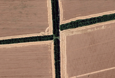 Google показал спутниковые снимки с разрушениями из-за вторжения России (фото) /Фото 9